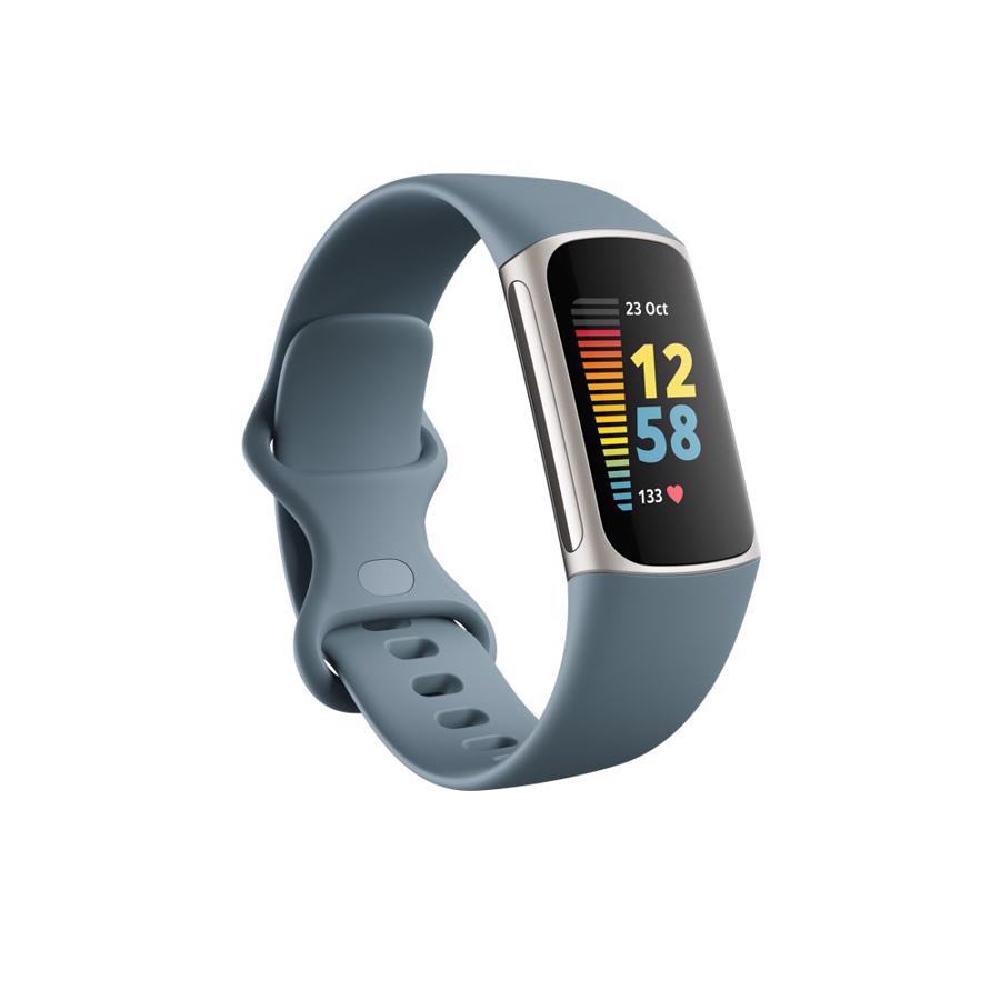 Fitbit Charge 5 Steel Blue 