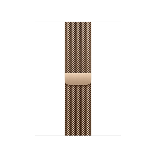Apple Watch 40mm Guld Milanese Loop